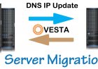 Bulk IP changing from DNS after server migration VestaCP