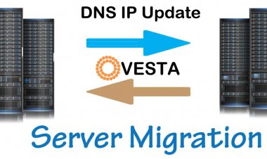 Bulk IP changing from DNS after server migration VestaCP