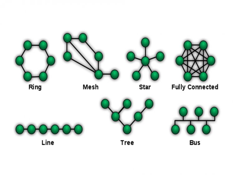 Network Topology