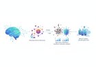 Separating Fact from Fiction: The Real State of AI-Driven Materials Science