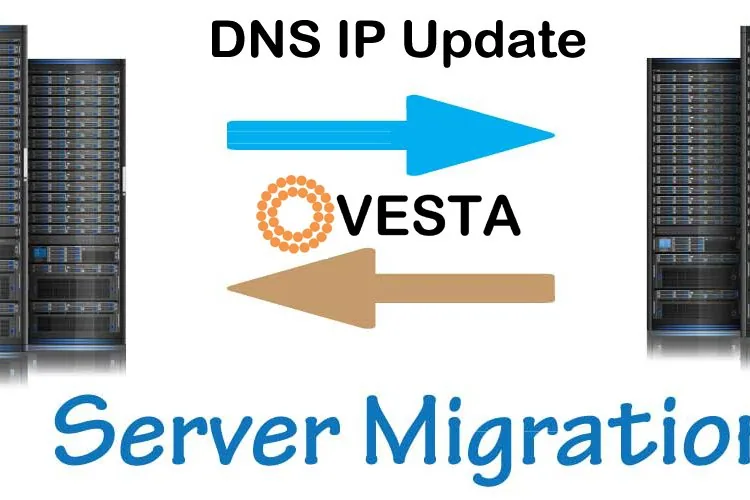 تحديث IP في DNS لـ VetstaCP بعد ترحيل الخادم