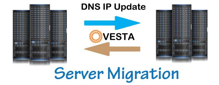 VetstaCP DNS IP Update after Server Migration