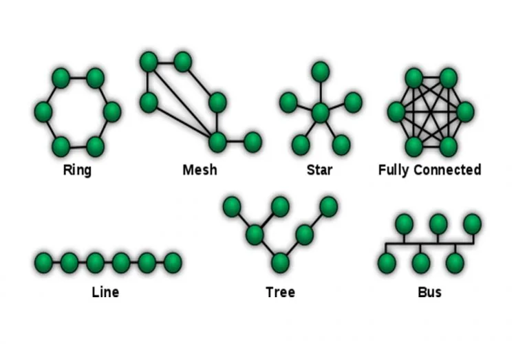 Network Topology