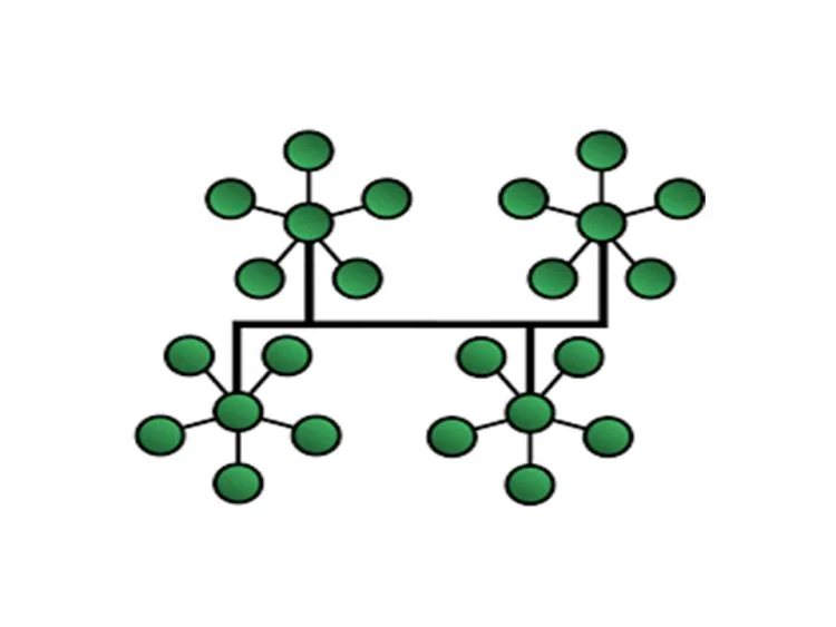 Network Topology – figure 6