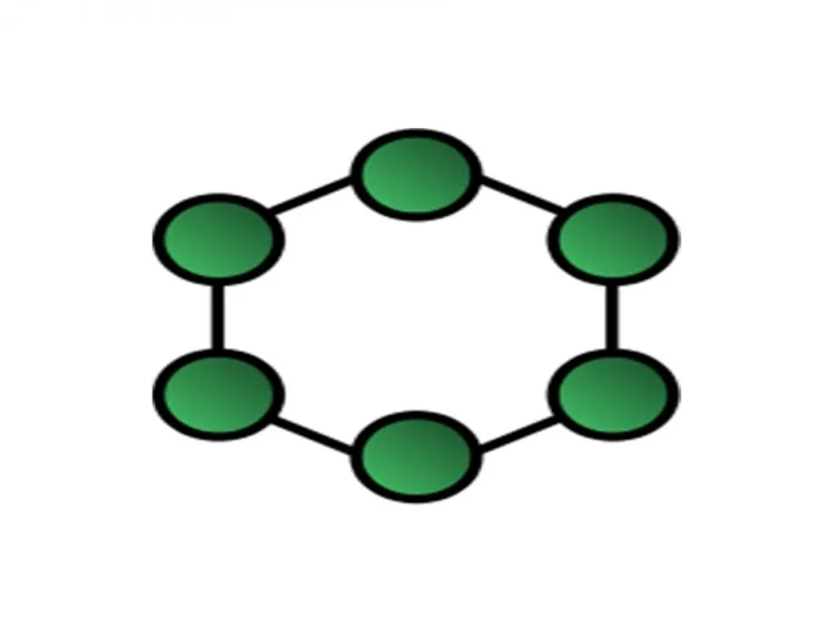 Network Topology – figure 2
